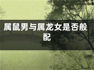 属鼠男与属龙女是否般配