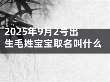 2025年9月2号出生毛姓宝宝取名叫什么