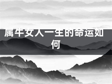 属牛女人一生的命运如何