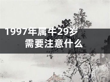1997年属牛29岁需要注意什么