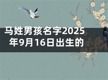 马姓男孩名字2025年9月16日出生的