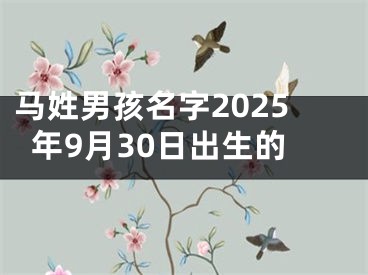 马姓男孩名字2025年9月30日出生的