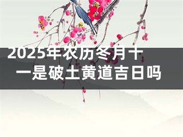 2025年农历冬月十一是破土黄道吉日吗