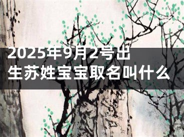 2025年9月2号出生苏姓宝宝取名叫什么