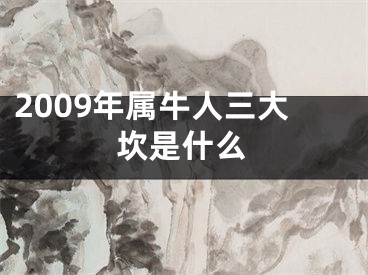 2009年属牛人三大坎是什么