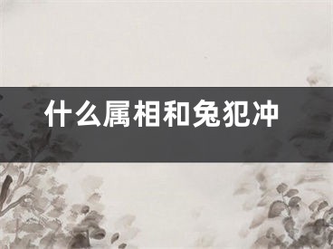 什么属相和兔犯冲