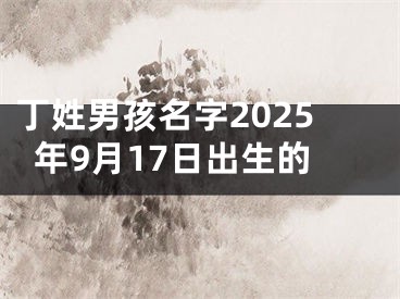 丁姓男孩名字2025年9月17日出生的