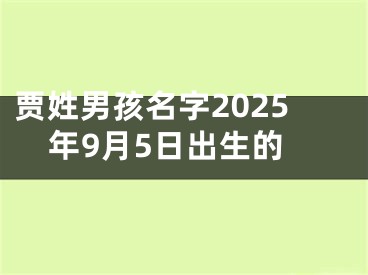贾姓男孩名字2025年9月5日出生的