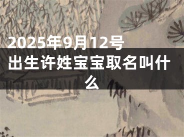 2025年9月12号出生许姓宝宝取名叫什么