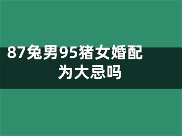 87兔男95猪女婚配为大忌吗