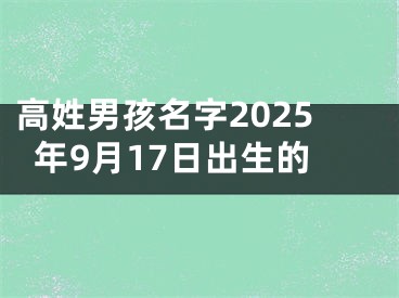 高姓男孩名字2025年9月17日出生的