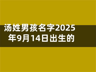 汤姓男孩名字2025年9月14日出生的