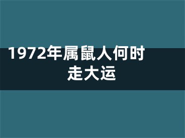 1972年属鼠人何时走大运
