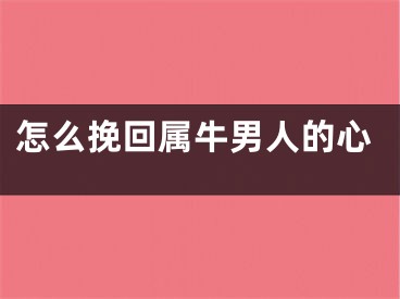怎么挽回属牛男人的心