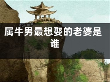 属牛男最想娶的老婆是谁