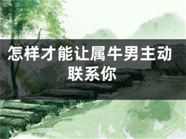 怎样才能让属牛男主动联系你