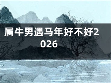 属牛男遇马年好不好2026