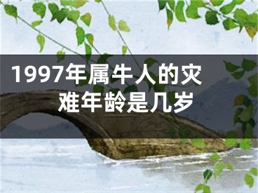 1997年属牛人的灾难年龄是几岁