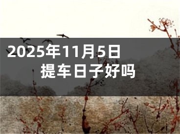 2025年11月5日提车日子好吗