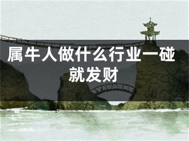 属牛人做什么行业一碰就发财