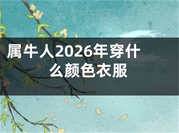 属牛人2026年穿什么颜色衣服