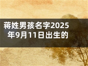 蒋姓男孩名字2025年9月11日出生的
