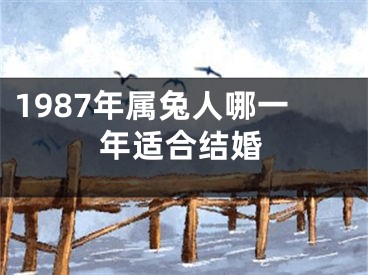 1987年属兔人哪一年适合结婚