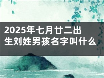 2025年七月廿二出生刘姓男孩名字叫什么