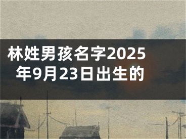 林姓男孩名字2025年9月23日出生的