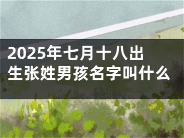 2025年七月十八出生张姓男孩名字叫什么