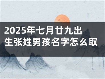 2025年七月廿九出生张姓男孩名字怎么取