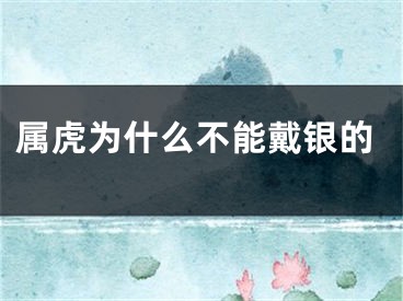 属虎为什么不能戴银的