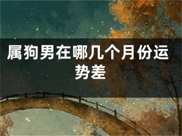 属狗男在哪几个月份运势差