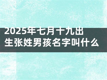 2025年七月十九出生张姓男孩名字叫什么