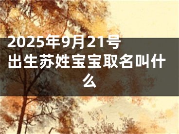 2025年9月21号出生苏姓宝宝取名叫什么