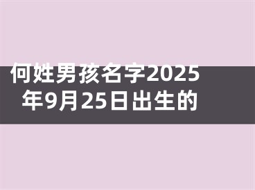 何姓男孩名字2025年9月25日出生的