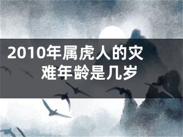 2010年属虎人的灾难年龄是几岁