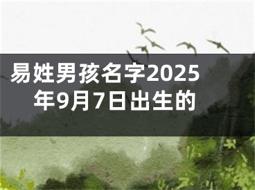 易姓男孩名字2025年9月7日出生的