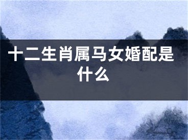 十二生肖属马女婚配是什么