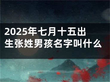 2025年七月十五出生张姓男孩名字叫什么