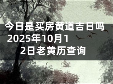 今日是买房黄道吉日吗 2025年10月12日老黄历查询