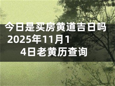 今日是买房黄道吉日吗 2025年11月14日老黄历查询