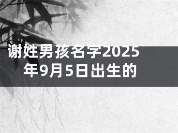 谢姓男孩名字2025年9月5日出生的