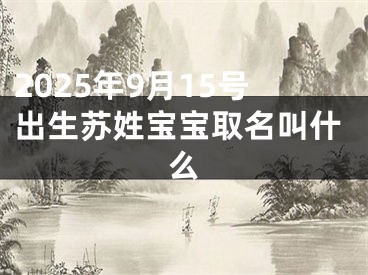 2025年9月15号出生苏姓宝宝取名叫什么