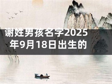 谢姓男孩名字2025年9月18日出生的
