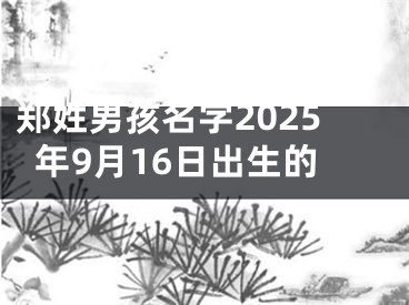 郑姓男孩名字2025年9月16日出生的