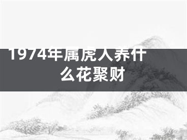 1974年属虎人养什么花聚财