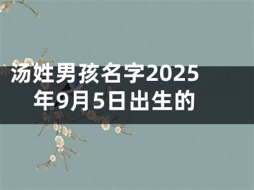 汤姓男孩名字2025年9月5日出生的