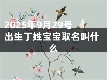 2025年9月29号出生丁姓宝宝取名叫什么