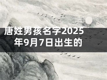 唐姓男孩名字2025年9月7日出生的